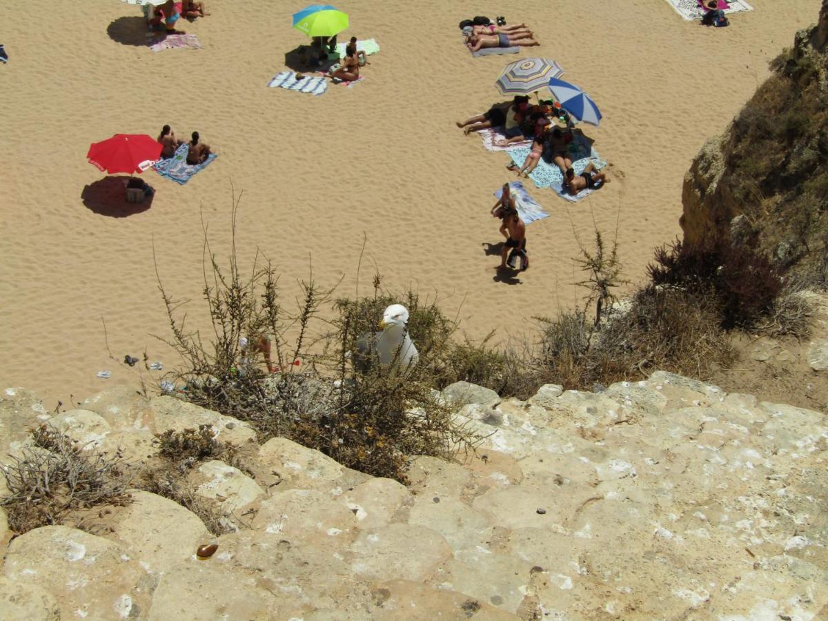 Casa Encantada - Praia Da Rocha Portimão Dış mekan fotoğraf